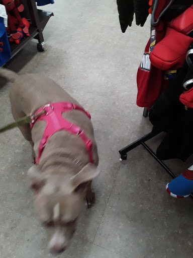 Pet Supply Store «Petco Animal Supplies», reviews and photos, 5850 Sepulveda Blvd, Van Nuys, CA 91411, USA