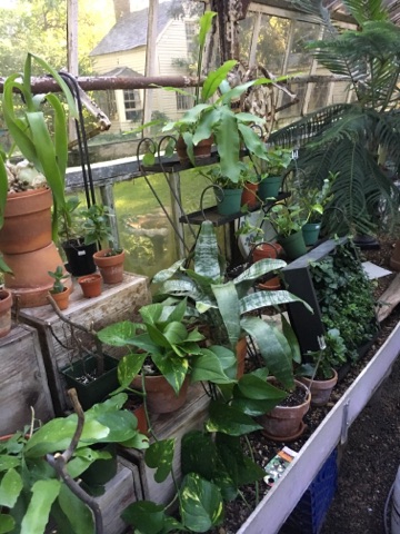 Florist «Guilford White House Florist», reviews and photos, 966 Boston Post Rd, Guilford, CT 06437, USA