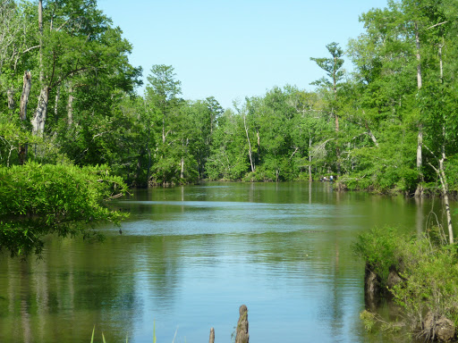 Fishing Camp «Becks Lake Fish Camp», reviews and photos, 2020 Becks Lake Rd, Cantonment, FL 32533, USA