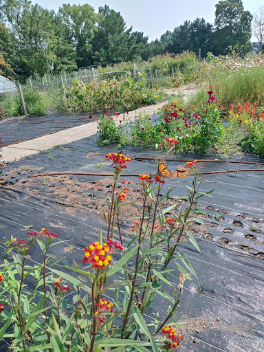 Farm «Bishop Farm & Winery Inc», reviews and photos, 500 S Meriden Rd, Cheshire, CT 06410, USA