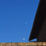 Photo n°6 de l'avis de Emanuele.o fait le 04/03/2023 à 15:31 sur le  Agriturismo Il Noce à Vetralla