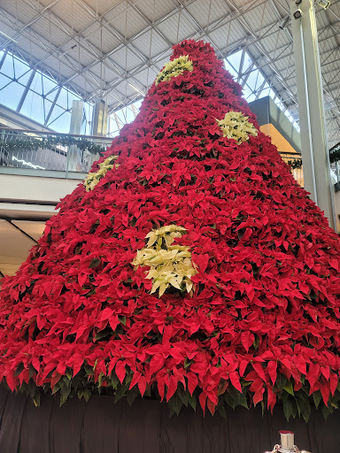 Shopping Mall «The Mall in Columbia», reviews and photos, 10300 Little Patuxent Pkwy, Columbia, MD 21044, USA