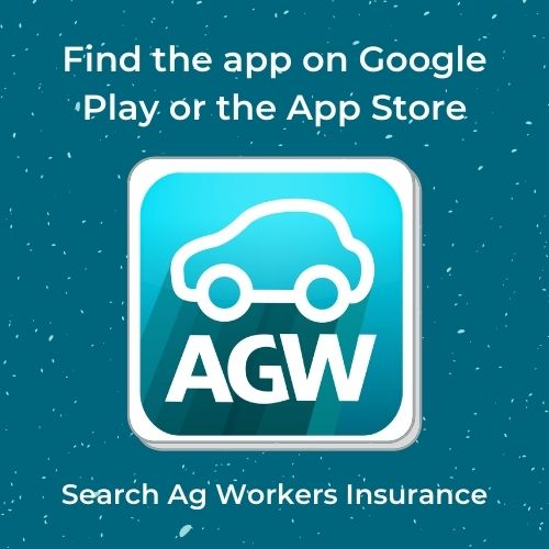 Insurance Company «AG Workers», reviews and photos