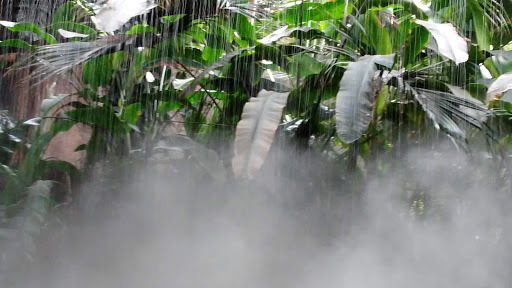 Zoo «Blank Park Zoo», reviews and photos, 7401 SW 9th St, Des Moines, IA 50315, USA