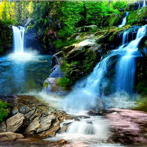 National Park «Shenandoah National Park», reviews and photos