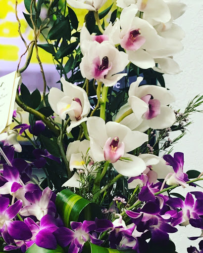 Hair Salon «Aylin Beauty Salon & Spa», reviews and photos, 820 E 41st St, Hialeah, FL 33013, USA