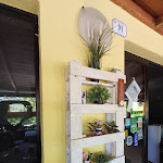 Photo n°27 de l'avis de SULY.o fait le 08/08/2023 à 15:52 sur le  Boschetto à Fornovo di Taro