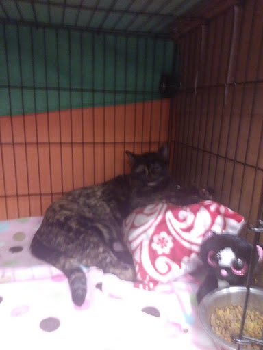 Pet Supply Store «Perk Valley Pet Eatery», reviews and photos, 130 W Main St #102-104, Trappe, PA 19426, USA