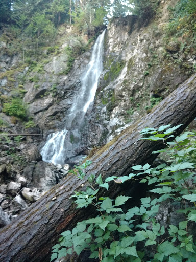 Nudist Park «Lake Bronson Club Family Nudist Park», reviews and photos, 33033 Cottontail Road, Sultan, WA 98294, USA