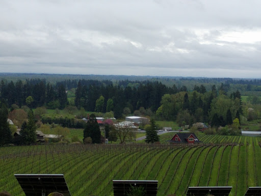 Winery «Sokol Blosser Winery», reviews and photos, 5000 NE Sokol Blosser Ln, Dayton, OR 97114, USA