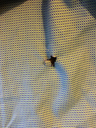 8629 Old Lee Hwy, Fairfax, VA 22031, USA