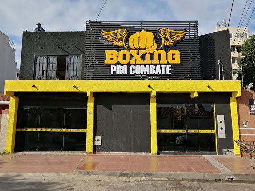 Boxing Pro-Combate Bolivia