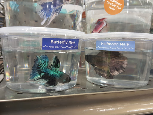 Pet Supply Store «Petco Animal Supplies», reviews and photos, 189 Old Country Rd, Carle Place, NY 11514, USA