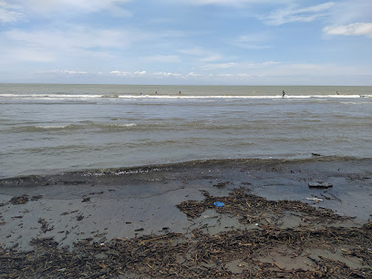 Playa Punta de Piedra