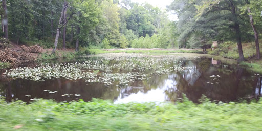 Historical Landmark «George Washington Birthplace National Monument», reviews and photos, 1732 Popes Creek Rd, Colonial Beach, VA 22443, USA