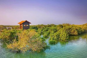 Purple Island, Mangroves image