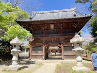 弘法寺の伏姫桜