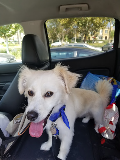 Pet Supply Store «PetSmart», reviews and photos, 30515 Av. de Las Flores, Rancho Santa Margarita, CA 92688, USA