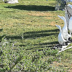 Photo n°14 de l'avis de Gino.t fait le 11/08/2021 à 12:34 sur le  Wonder Beach Club à Mola di Bari