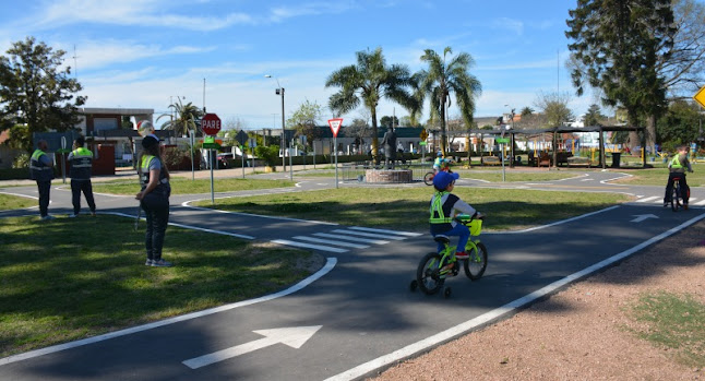 Opiniones de Plaza de Deportes Canelones en Canelones - Tienda de deporte