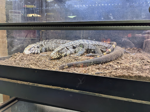 Pet Store «Fin & Feather Pet Center, Inc.», reviews and photos, 5208 Lakeside Ave, Richmond, VA 23228, USA