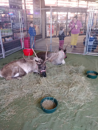 Department Store «Coastal Farm & Ranch», reviews and photos, 1900 McLoughlin Blvd, Oregon City, OR 97045, USA