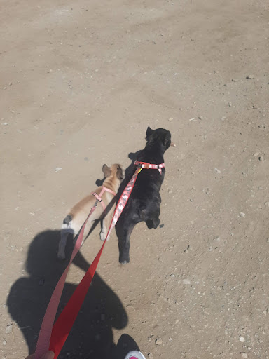 Clínica Veterinaria Guadix Norte en Guadix