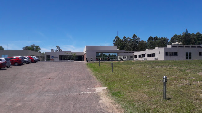 Opiniones de Campus Interinstitucional INIA UDELAR y MGAP en Tacuarembó - Veterinario