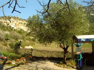 Photo n°51 de Le Lézard Bleu à Vieussan ()