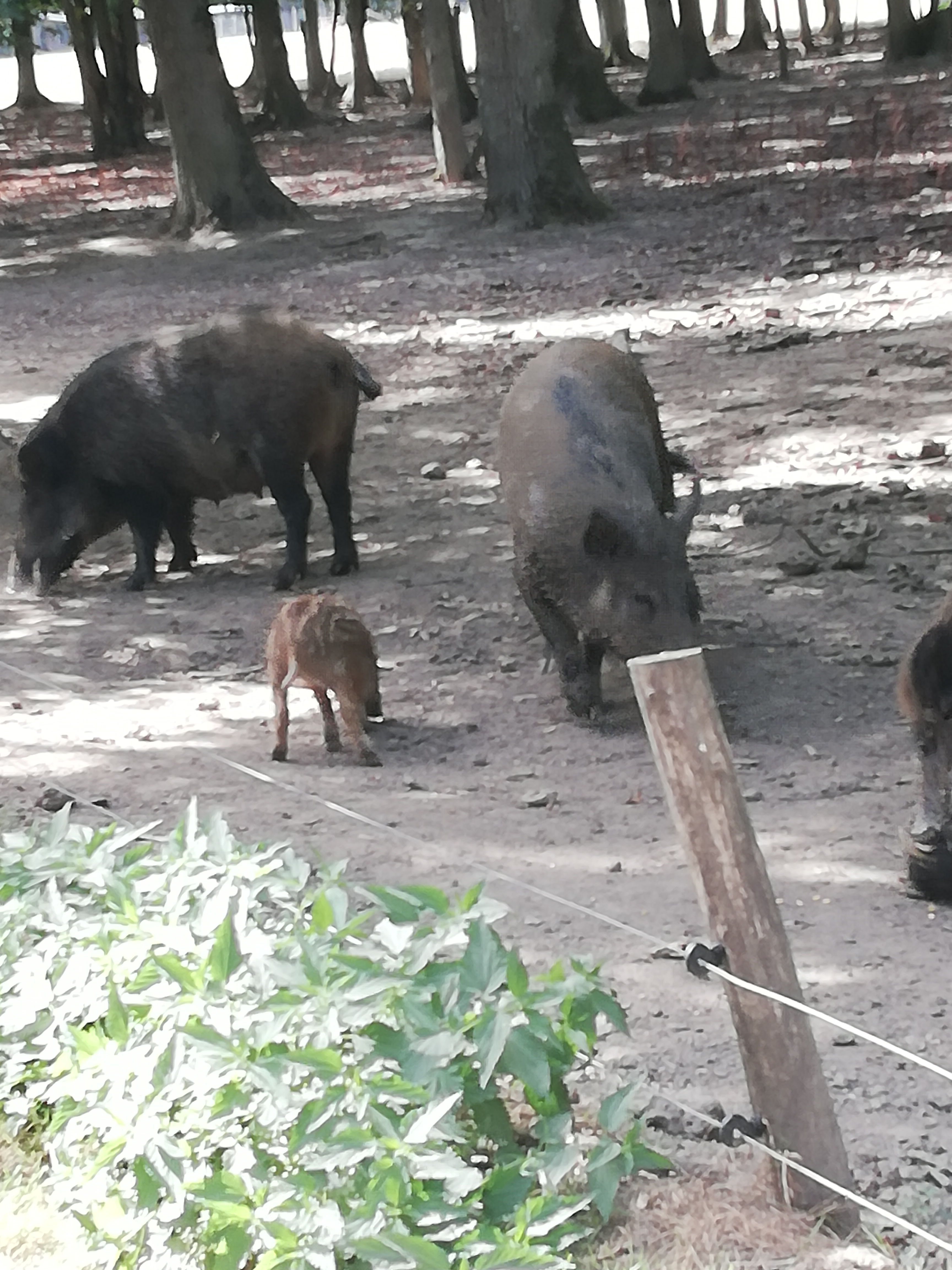 Photo n° 7 de l'avis de Severine.e fait le 23/08/2019 à 23:18