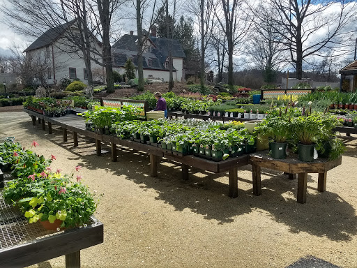 Greenhouse «Wentworth Greenhouses», reviews and photos, 141 Rollins Rd, Rollinsford, NH 03869, USA