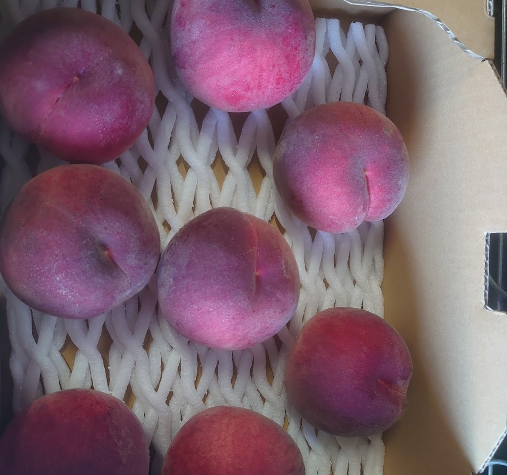 佐藤農園 生産直売所