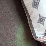 Photo n°1 de l'avis de Marius.c fait le 04/05/2020 à 14:22 sur le  Zielitzer Hof à Zielitz