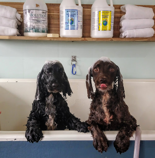 Hardwick Hounds Dog Grooming Salon