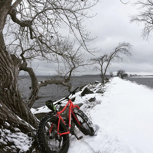 Bicycle Store «Malletts Bay Bicycle and Ski», reviews and photos, 794 W Lakeshore Dr, Colchester, VT 05446, USA