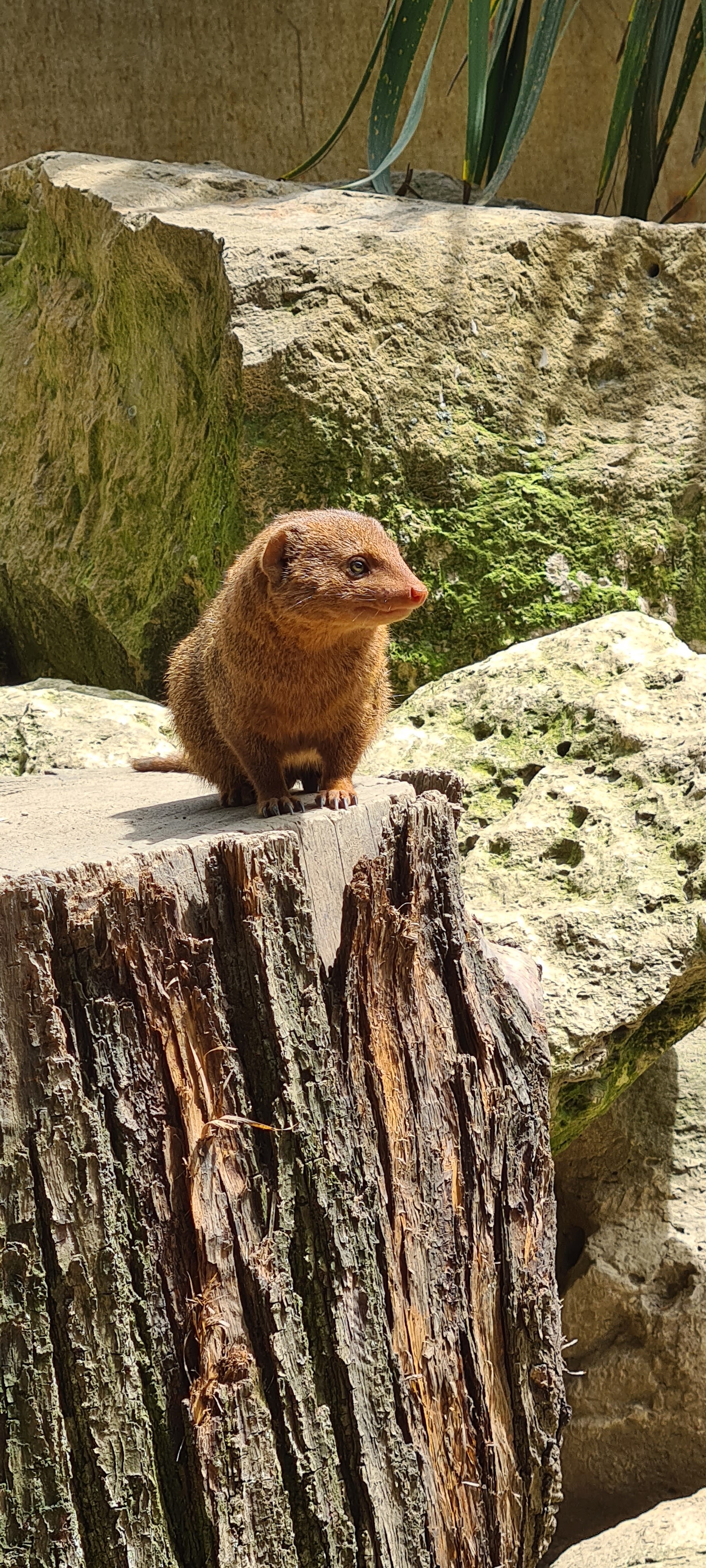 Photo n° 5 de l'avis de Phany.u fait le 12/05/2023 à 19:35