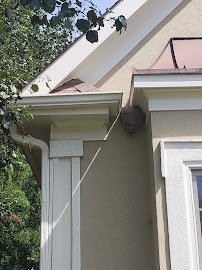 AAA Bees One, Carpenter Bee Service, Hornets and Wasp Nest Removal - Photo 9 - Car repair in , Atlanta