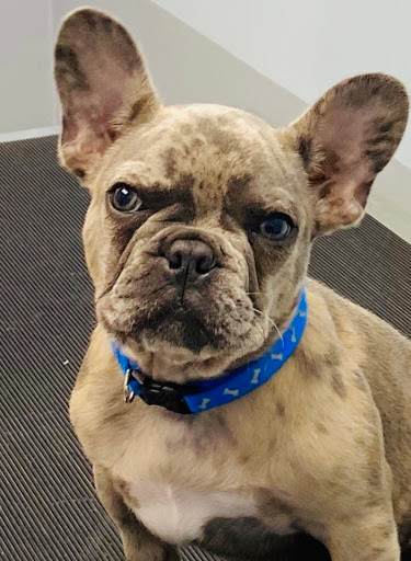 1919 W 68th St, Hialeah, FL 33014, USA