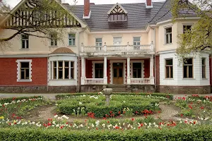 Olustvere Manor image