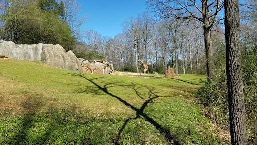 Zoo «North Carolina Zoo», reviews and photos, 4401 Zoo Pkwy, Asheboro, NC 27205, USA