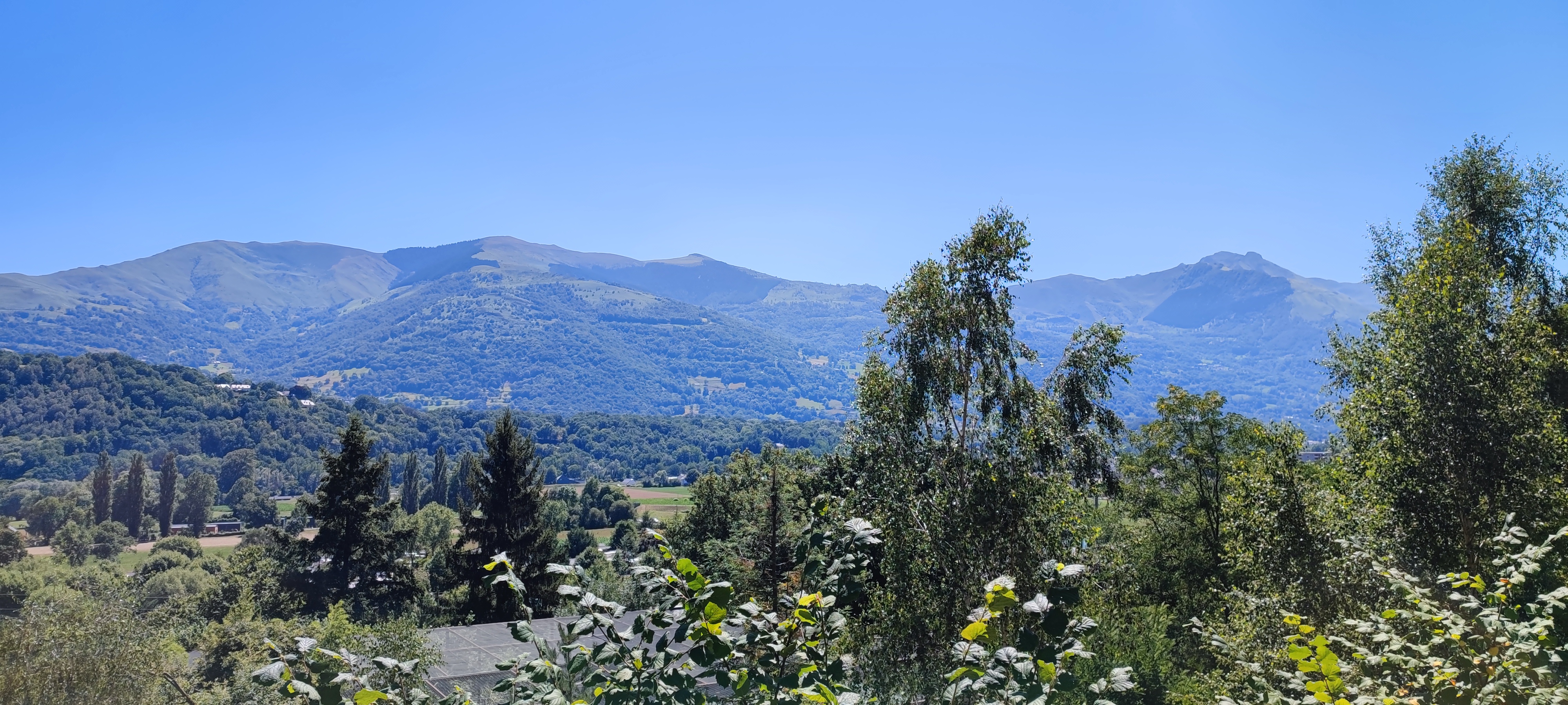 Photo n° 1 de l'avis de rachel. fait le 10/07/2022 à 09:02