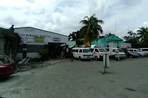 Rogaciano M. Mercado Memorial Hospital image