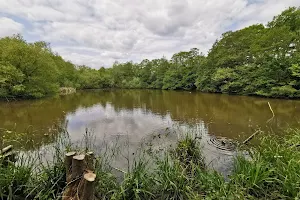 Darlands Nature Reserve image