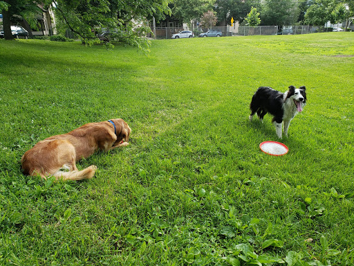 Park «Hawthorne Park», reviews and photos, 220 Division St, Madison, WI 53704, USA