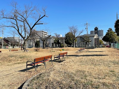 津金公園