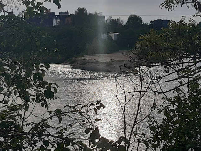 Comentarii opinii despre Silesia