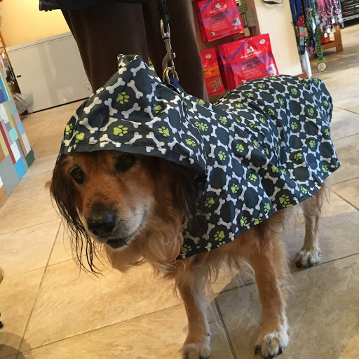 Pet Store «Four Paws on the Beach», reviews and photos, 144 Laneda Ave, Manzanita, OR 97130, USA