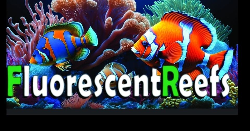 Fluorescent Reefs LLC