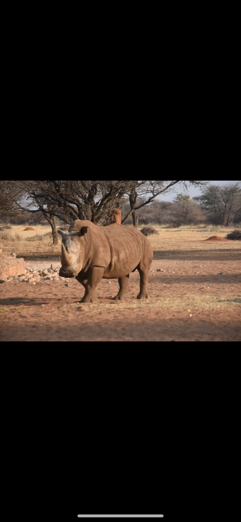 Photo n° 2 de l'avis de David.e fait le 21/03/2024 à 10:03