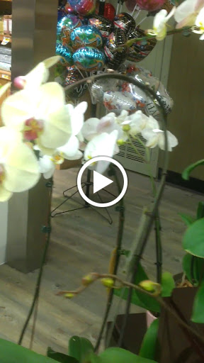 Grocery Store «Safeway», reviews and photos, 11051 S Parker Rd, Parker, CO 80134, USA